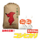 令和5年産 コシヒカリ 玄米 20kg千葉県産 精米(白米)無料 送料無料 残留農薬検査済 残留農薬不検出 1