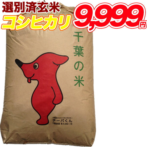 【令和4年産新米入荷】 コシヒカリ 玄米 30kg千葉県産 精米(白米)無料【送料無料】