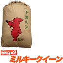 人気ランキング第5位「くるりのお米屋」口コミ数「517件」評価「4.52」令和5年産 ミルキークイーン 10kg （5kg×2袋） 千葉県産 送料無料 精米発送・玄米発送可能 残留農薬検査済 残留農薬不検出