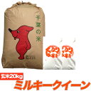 令和5年産 ミルキークイーン 玄米 20kg 送料無料 精米無料 残留農薬検査済 残留農薬不検出