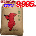 粒すけ 玄米 30kg千葉県産 精米(白米)無料【送料無料】