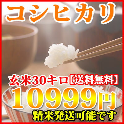 【令和4年産新米入荷】 塩むすびで食べて♪厳選した生産者青柳産コシヒカリ 玄米 30kg 送料無料【精米無料】【送料無料】玄米　白米　精米　30kg　こしひかり 30年 30キロ お米 コメ コシヒカリ 米 食品【オススメ】【売れ筋】