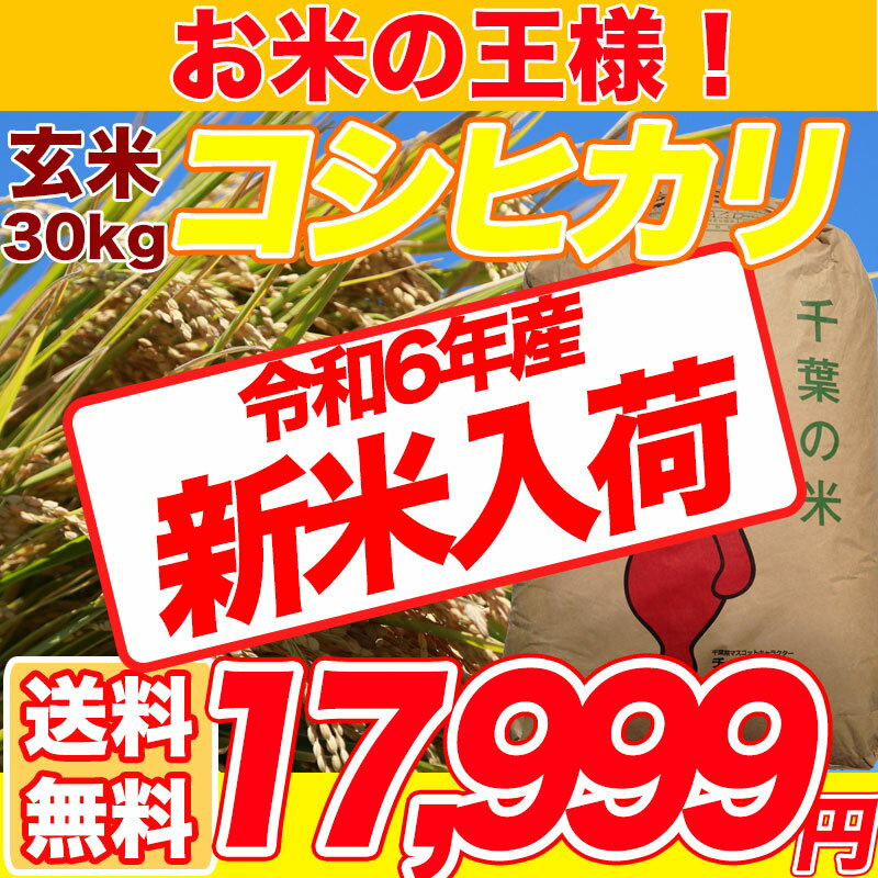 【令和4年産新米入荷】 コシヒカリ 玄米 30kg千葉県産 精米(白米)無料【送料無料】