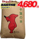 令和1年産 最高級青柳産コシヒカリ10kg(5キロ×2)4680円【送料無料】玄米　白米　精米 送料無料 【オススメ】【売れ筋】