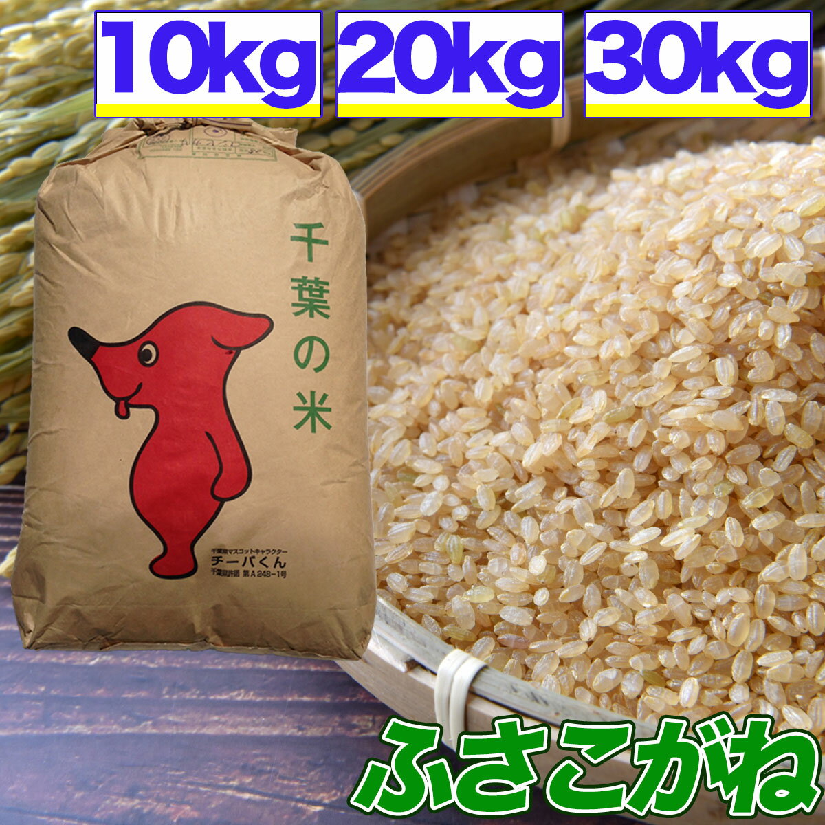 令和5年産 ふさこがね 10kg 20kg 30kg 玄米 選別済 玄米食でも安心の選別済玄米 送料無料 精米無料 精米 白米 発送可 残留農薬検査済 残留農薬不検出