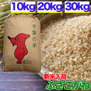 滋賀県産 日本晴 JAS有機米 令和5年産 送料無料無農薬 玄米 精米 米 25kg（5kg×5袋）