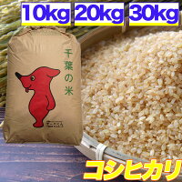 令和5年産 コシヒカリ 10kg 20kg 30kg 残留農薬検査済 選別済 玄米 千葉県産 精米 ...