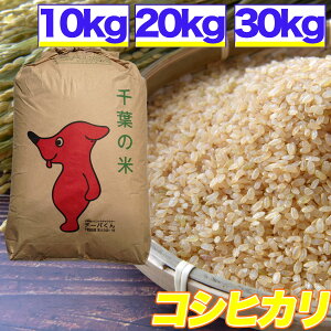 令和5年産 コシヒカリ 10kg 20kg 30kg 残留農薬検査済 選別済 玄米 千葉県産 精米 白米 送料無料