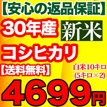 【29年産】【1袋づつ選べる！精米or玄米】千葉県産コシヒカリ 10kg(5kg×2）【送料無料】【あす楽対応】【店頭受取対応商品】