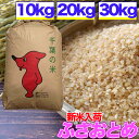 令和5年産 ふさおとめ 10kg 20kg 30kg 選別済 玄米 白米 送料無料 精米無料 精米（白米）発送可 残留農薬検査済 残留農薬不検出