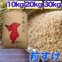 令和5年産 粒すけ 10kg 20kg 30kg 玄米食でも