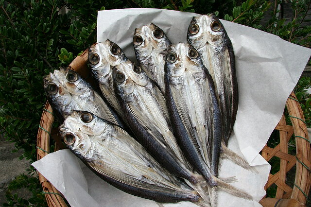 飛魚のくさや(小）