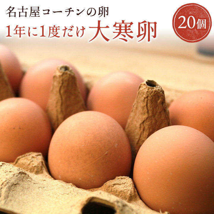 1年に一度だけ！名古屋コーチンの☆大寒卵☆【20個入り(18個＋破卵保障2個)】2026年1月20日にうまれた大..