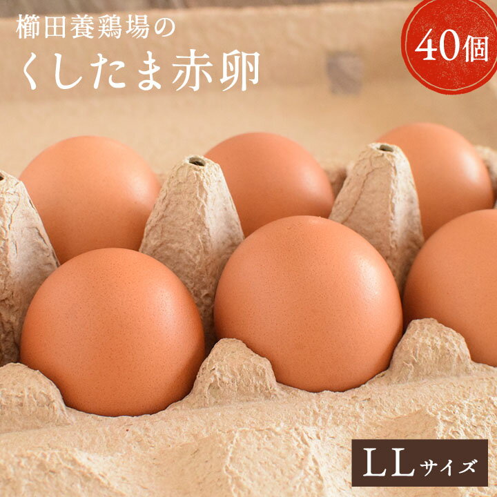 【愛知●尾張】おいしい赤卵LLサイズ40個入り(10個破卵保障含)送料無料！赤卵/40個/養鶏場直送/食品/卵/ご自宅用/贈答用