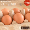 【愛知●尾張】おいしい赤卵LLサイ