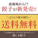 ＼お一人様1回限り／お試し！鶏しそ餃子【30個入り(30個入り×1袋)】冷凍餃子 餃子 送料無料 お試し 生餃子 冷凍生餃子 食品 惣菜 中華 鶏肉 2