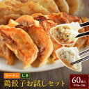 ＼おひとり様1回限り／2種の餃子を1度に食べ比べ！！名古屋コーチン餃子しそ餃子餃子 冷凍餃子 餃子 送料無料 お試し 生餃子 冷凍生餃子 食品 惣菜 中華 鶏肉