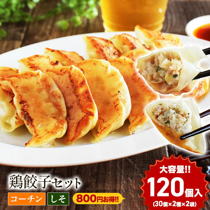 鶏餃子 ニ種を1度に食べ比べ！ 名古屋コーチン餃子 【30個入り2袋】 しそ餃子【30個入り2袋】 餃子 ぎょうざ ギョーザ 鶏ぎょうざ 名古屋コーチン 名古屋名物 しそ シソ 冷凍餃子 生餃子 冷凍生餃子 食品 惣菜 中華 中華総菜 中華点心 国産 鶏肉 送料無料