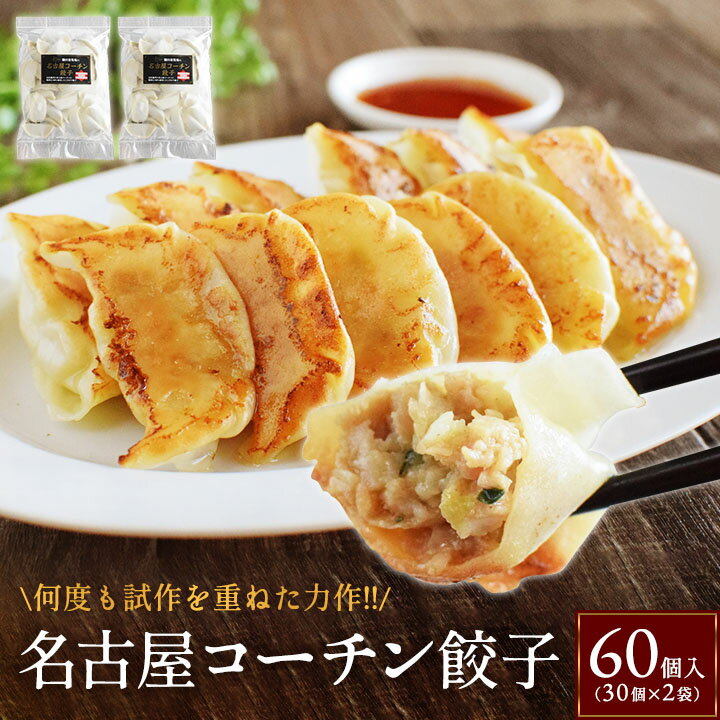 名古屋コーチン餃子【60個入り(30個入り×2袋)】冷凍餃子 鶏 餃子 にんにく お取り寄せ 送料無料 お試し 生餃子 冷凍生餃子 食品 惣菜 中華 鶏肉