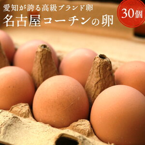 【すき焼き用卵】濃厚な味わい！すき焼きに人気の美味しい卵を教えて！