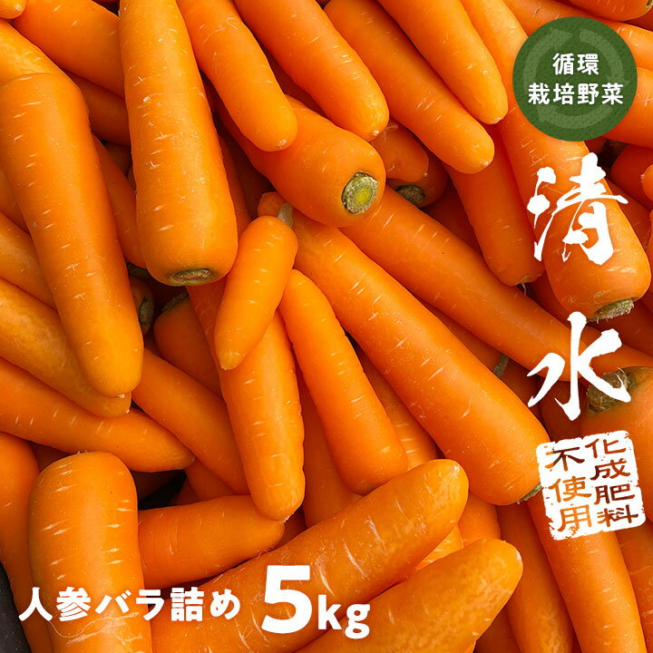 循環栽培野菜 【清水】人参 バラ詰め 5キロ 入り にんじん 約25～35本入り 化成肥料不使用 野菜 ニンジン 清水の人参