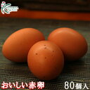 【愛知●尾張】櫛田養鶏場が誇るおいしい赤卵【80個入り(内10個破卵保障)】コスト削減!トレイにて発送!食品/鶏卵/卵/ご自宅用/70個/80個 【愛知●尾張】櫛田養鶏場が誇るおいしい赤卵【80個入り(内10個破卵保障)】コスト削減!トレイにて発送!食品/鶏卵/卵/ご自宅用/70個/80個