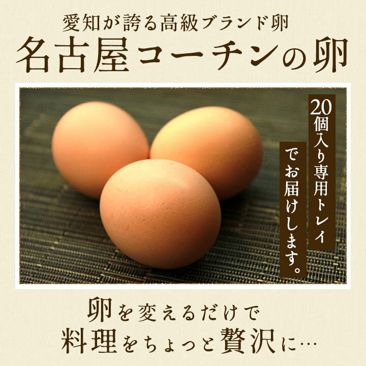 贈答用☆愛知が誇る高級ブランド卵☆名古屋コーチンの卵【20個入り(破卵保障2個含む)】食品/卵/鶏卵/高級卵/玉子/たまご/贈答卵/母の日/父の日/敬老の日/お中元/お歳暮/内祝/ギフト 3