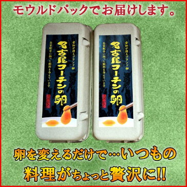 愛知が誇るブランド卵☆名古屋コーチンの卵【20個入り(破卵保障2個含む)】食品/卵/鶏卵/高級卵/玉子/たまご/ご家庭卵