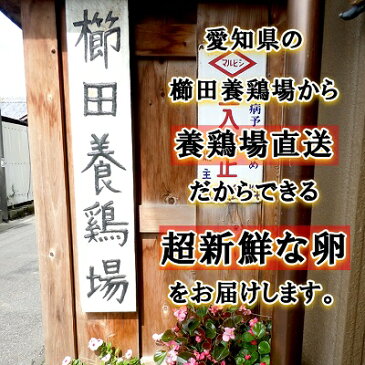 【お一人様1回限り1セットまで】櫛田養鶏場の三種の卵☆お試し食べ比べセット！18個入り【名古屋コーチンの卵(6個)＋おいしい赤卵(6個)＋おいしい白卵(6個)】送料無料！超新鮮な卵を養鶏場から直送！食品/鶏卵/卵/たまご/玉子/お試し/食べ比べ