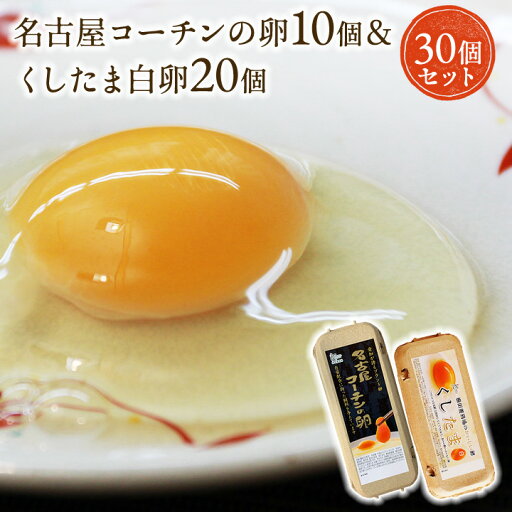 【楽天市場店限定セットB】高級名古屋コーチンの卵(10個入り)+くしたま白卵(20個入り)【合計30個入り(内破卵保障3個含む)】食品/卵/鶏卵/30個/お得/お試し 【楽天市場店限定セットB】高級名古屋コーチンの卵(10個入り)+くしたま白卵(20個入り)【合計30個入り(内破卵保障3個含む)】食品/卵/鶏卵/30個/お得/お試し