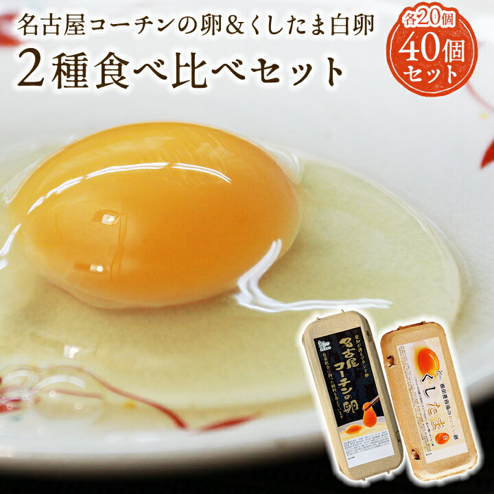 【二種食べ比べセット】高級名古屋コーチンの卵（20個入り）＋くしたま白卵（20個入り）【送料無料】合計40個入り 食…