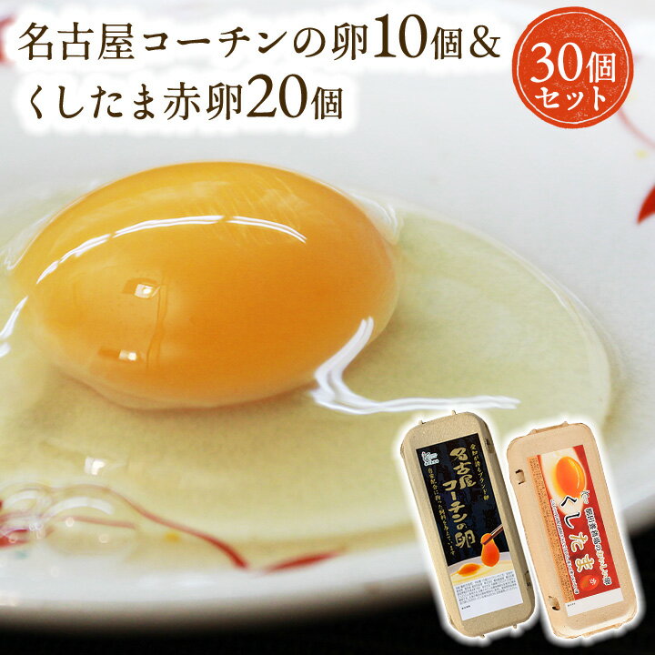 【楽天市場店限定セットA】高級名古屋コーチンの卵(10個入り)+おいしい赤卵(20個入り)内3個割れ保障含む【送料無料】合計30個入り 食品/卵/鶏卵/30個/...