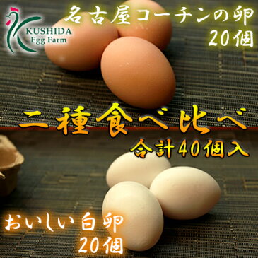 【愛知●尾張】高級名古屋コーチンの卵（20個入り）＋おいしい白卵（20個入り）【送料無料】合計40個入り 食品/卵/鶏卵/40個/お得/