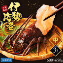 父の日まだ間に合う 【中サイズ】えび 伊勢海老 国産 千葉県 3尾 600g グラム単位 名