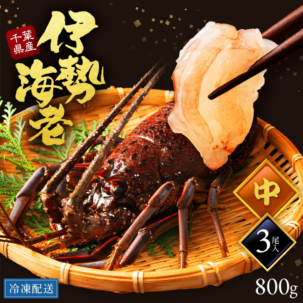 【中サイズ】国産 千葉 伊勢海老 本物 3尾入 800g 海老 伊勢 伊勢エビ いせえび lobster 豪華 鮮度 新鮮 えび 千葉県 3尾 800g 名産地 キロ 冷凍保存 伊勢海老殻付き しゃぶしゃぶ グラタン おすすめ 縁起物 めでたい レシピ お取り寄せ 贈答用 ギフト 結婚祝い 送料無料
