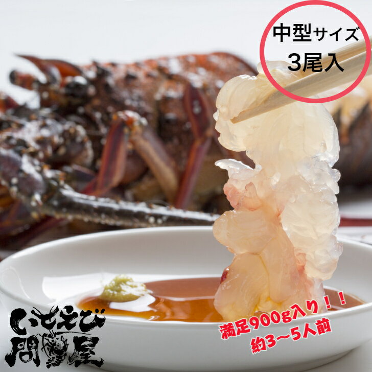 ̵ ľ ո 衺 ŷϷ 極 ɿ 3 900g(300g3) ե £ʪ ˤ 󤻥   륰 BBQ ŴľƤ ᤷ   ebi   