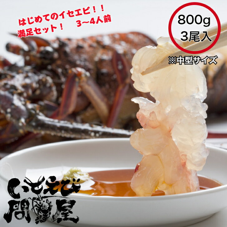 ̵ۡ ľ ո 衺 ŷϷ 極 ɿ 3 800g(250g3) ե £ʪ ˤ 󤻥   륰 BBQ ŴľƤ ᤷ   ebi ӡ