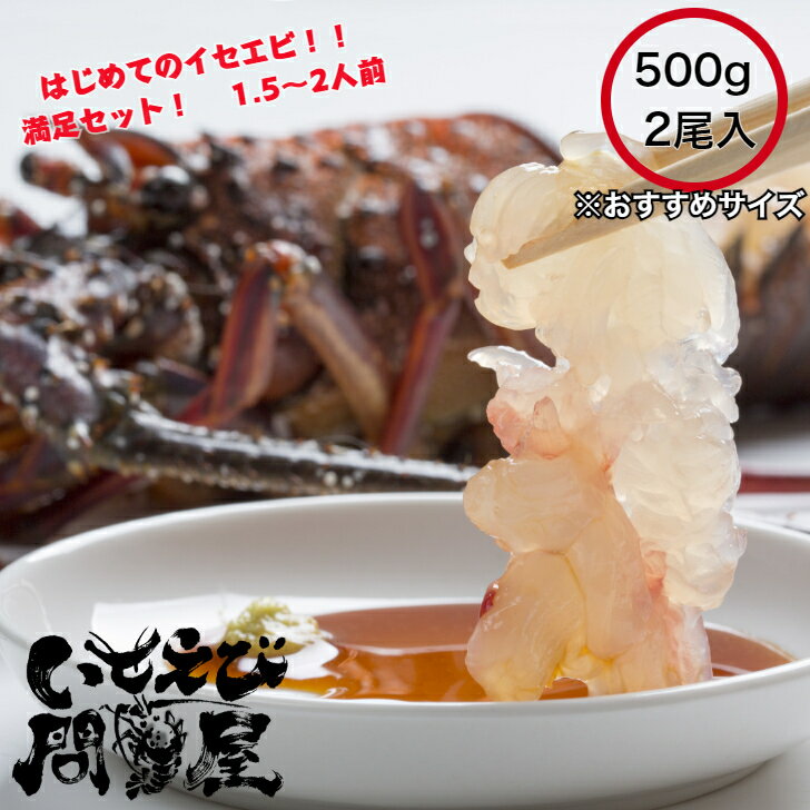 ¨ȯ ̵ۤϤƤˤ ľ ո衺ŷϷ 極 ɿ 500g 24 ե £ʪ ˤ 󤻥    BBQ ᤷ    Ϸ 