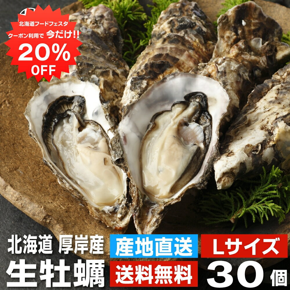 【1日限定20%OFFクーポン配布中！】