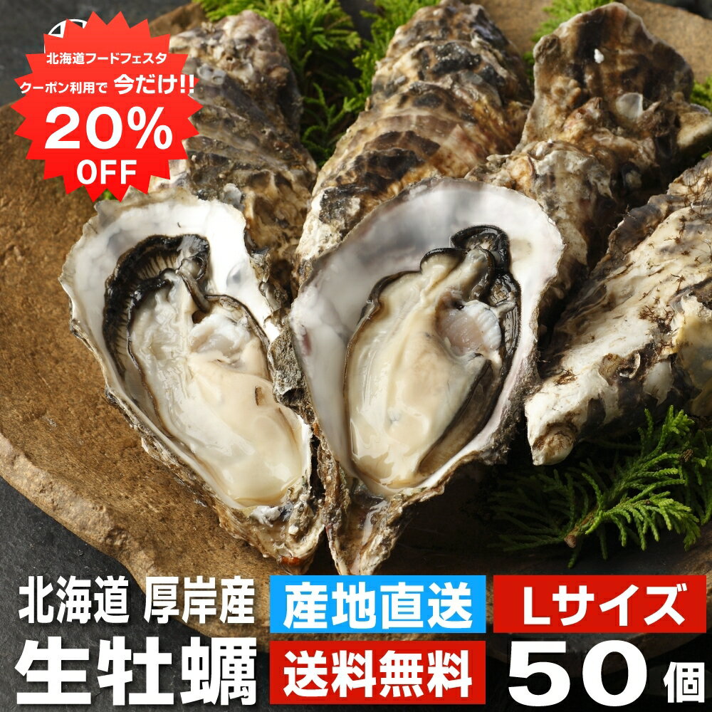 【1日限定20%OFFクーポン配布中！】