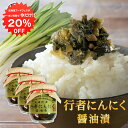 【1日限定20%OFFクーポンあり!】行者にんにく醤油漬 150g (3個セット) 瓶詰 北海道産 行者ニンニク しょうゆ漬 ごはんのおかず おつまみ 肴 ご当...