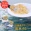 【1日限定20%OFFクーポンあり!】流氷カレー 1食分 (2箱セット) レトルト 白いカレー 北海道 ほたて貝柱 ホワイトカレー ご当地 お土産 お取り寄せ ...