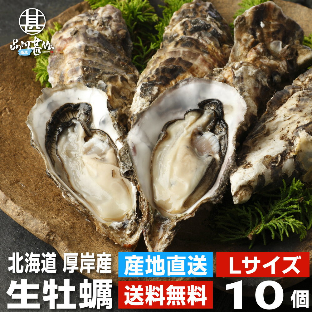 生牡蠣Lサイズ10個 約1kg 送料無料 まるえもん 北海道 厚岸産 殻付き 産地直送 生食用 牡蠣 かき カキ 生カキ 生かき…