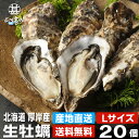 生牡蠣Lサイズ20個 約2kg 送料無料 まるえもん 北海道 厚岸産 殻付き 産地直送 生食用 牡蠣 かき カキ 生カキ 生かき 生ガキ 生がき ご当地 お土産 お取り寄せ プレゼント ギフト 贈答 御中元 お中元 御歳暮 お歳暮