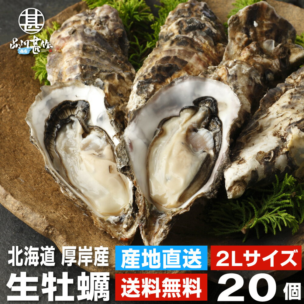 【送料無料】生牡蠣2Lサイズ20個 約2.7kg まるえもん 北海道 厚岸産 殻付き 産地直送 生食用 牡蠣 かき カキ 生カキ 生かき 生ガキ 生がき お取り寄せ プレゼント ギフト 贈答敬老の日