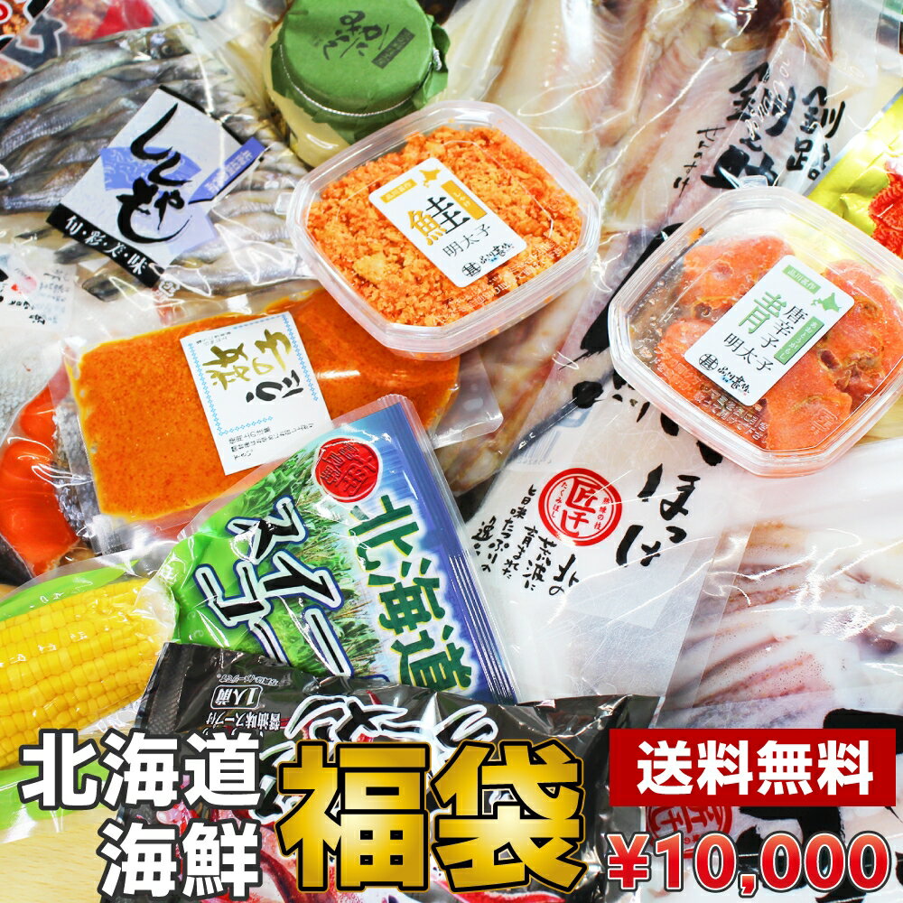 【送料込み】10000円福袋2021 当店の人気商品を店長がセレクト※中身のご指定はできません。 海鮮 北海道 復興 食品 プレゼント ギフト 贈答 お返し 贈答品 お中元 御中元 お歳暮 御歳暮 御年賀 お年賀