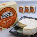 はやきた スモークカマンベールチーズ 120g （3個セット） 北海道 安平町 夢民舎 ご当地 お土 ...
