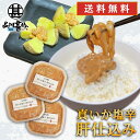 真いか塩辛 肝仕込み 100g(3個セット) 送料無料 北海道産 イカゴロ塩辛 おつまみ イカの塩辛 海鮮珍味 しおから ご当地 お土産 お取り寄せ プレゼント...