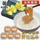真いか塩辛 肝仕込み 100g(5個セット) 送料無料 北海道産 イカゴロ塩辛 おつまみ イカの塩辛 海鮮珍味 しおから ご当地 お土産 お取り寄せ プレゼント...