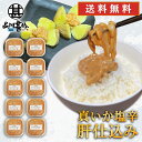 真いか塩辛 肝仕込み 100g(10個セット) 送料無料 北海道産 イカゴロ塩辛 おつまみ イカの塩辛 海鮮珍味 しおから ご当地 お土産 お取り寄せ プレゼン...